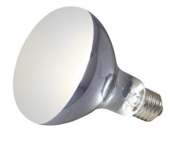 Żarówka POWER SUN UV 160W ZOO MED