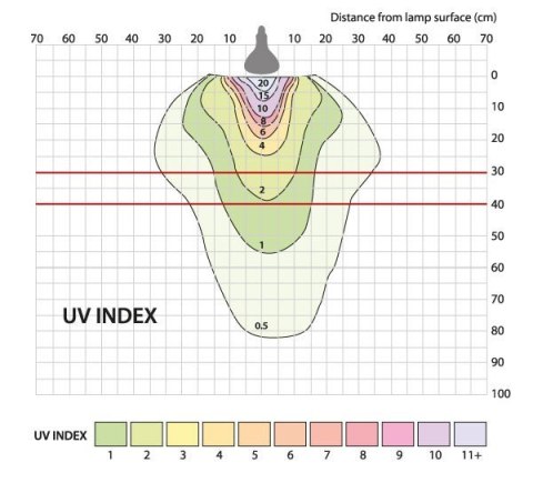 Żarówka UV D3 Basking 100W ARCADIA