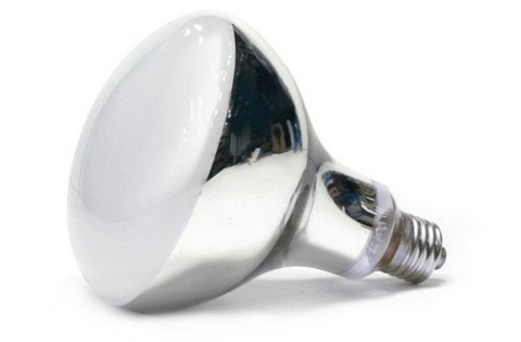 Żarówka UV D3 Basking 100W ARCADIA