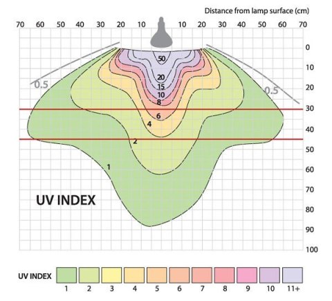 Żarówka UV D3 Basking 160W ARCADIA
