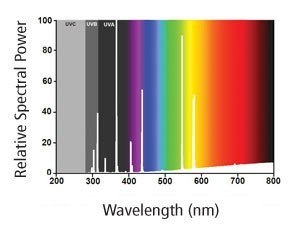 Żarówka UV D3 Basking 160W ARCADIA