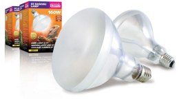 Żarówka UV D3 Basking 160W ARCADIA