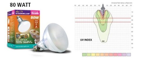 Żarówka UV D3 Basking 80W ARCADIA