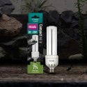 Żarówka UVB 7% 23W Forest ARCADIA