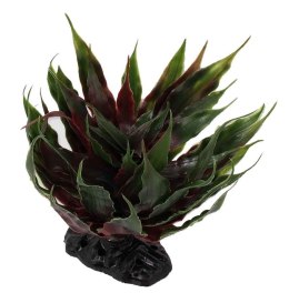 Agawa sukulent zielony 18cm REPTI PLANET