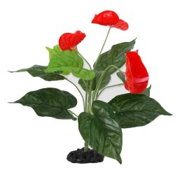 Anturium 40cm REPTI PLANET