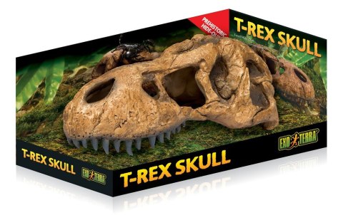 Czaszka tyranozaura T-REX EXO TERRA
