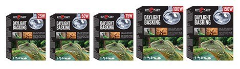 Day Light Basking Spot REPTI PLANET