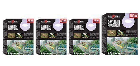 Day Light Neodymium REPTI PLANET