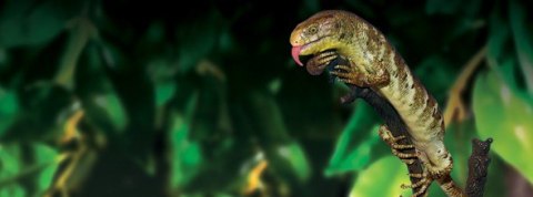 Drzewko wyginane Jungle Tree S EXO TERRA