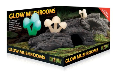 Grzyby świecące na skale EXO TERRA