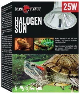 Halogen Sun 25W REPTI PLANET