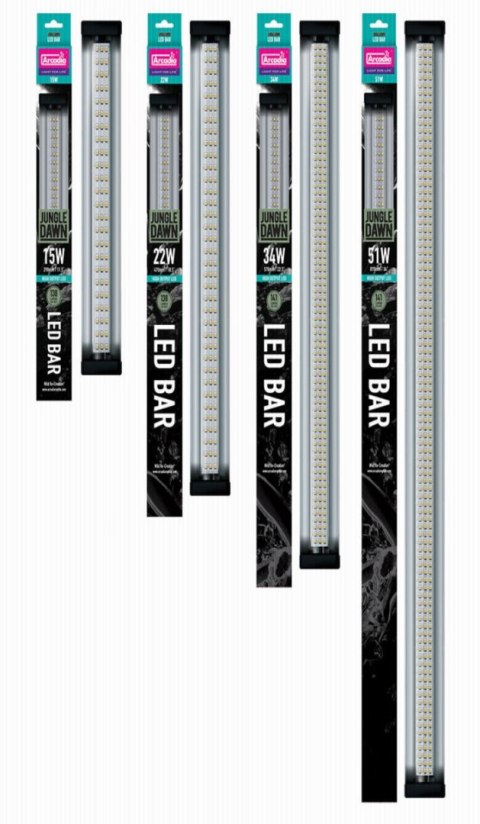 Jungle DAWN LED BAR ARCADIA