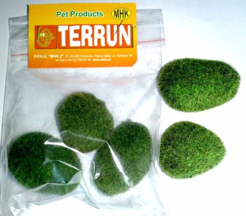 Kamienie omszałe 5szt