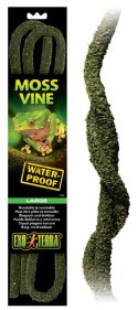 Liana z mchem 200cm Moss Vine Large EXO TERRA