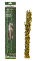 Liana z mchem 200cm/1,5cm Moss Vine Medium REPTI ZOO