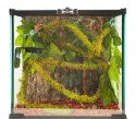 Liana z mchem 200cm/2cm Moss Vine Large REPTI ZOO