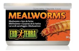 Mączniki suszone w puszce 34g EXO TERRA