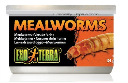 Mączniki suszone w puszce 34g EXO TERRA