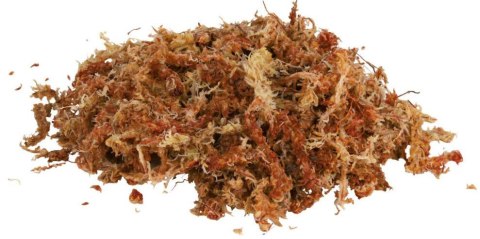 Mech naturalny 4,5L 100g TRIXIE