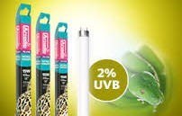 Natural Sunlight 2% ARCADIA