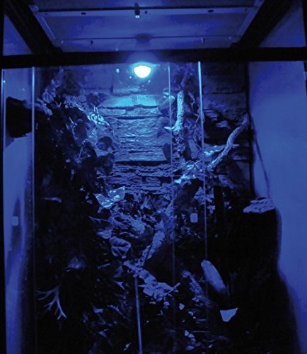 Nocna lampa Moon Light LED 0,5W LUCKY REPTILE