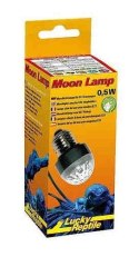 Nocna lampa Moon Light LED 0,5W LUCKY REPTILE