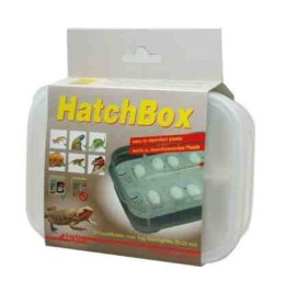 Pojemnik na jaja HatchBox LUCKY REPTILE