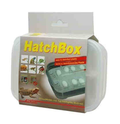 Pojemnik na jaja HatchBox LUCKY REPTILE