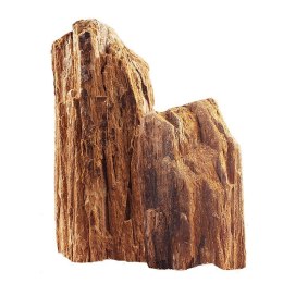Skałka skamieniałe drewno M 15-30cm
