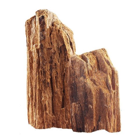 Skałka skamieniałe drewno M 15-30cm