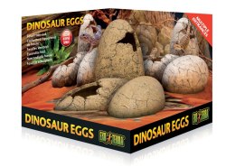 Skamieniałe jaja dinozaura EXO TERRA