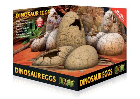 Skamieniałe jaja dinozaura EXO TERRA