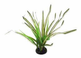 Spartina trawa 30cm REPTI PLANET