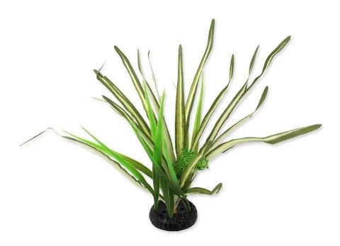 Spartina trawa 30cm REPTI PLANET