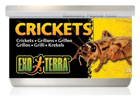 Świerszcze suszone w puszce 34g EXO TERRA