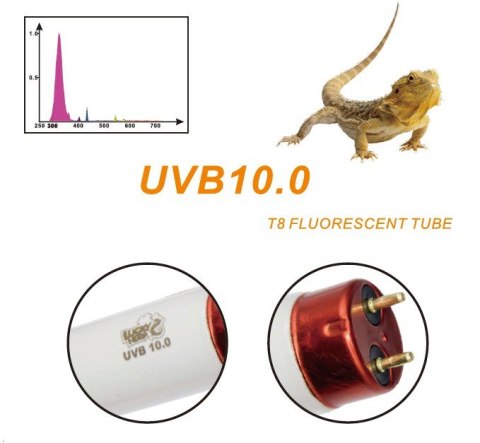 Świetlówka 10.0 T8 LUCKY HERP dla agamy, żółwia