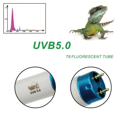 Świetlówka 5.0 T8 LUCKY HERP dla kameleona