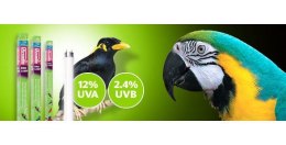 Świetlówka dla ptaków Bird Lamp 15W 450mm ARCADIA