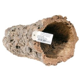 Tuba dębu korkowego 80cm