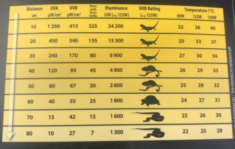 Żarówka ALL IN ONE UVB/UVA/grzewcza 125W REPTI PLANET