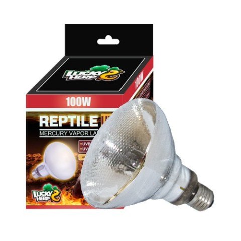 Żarówka Reptile UV 100W CLEAR LUCKY HERP