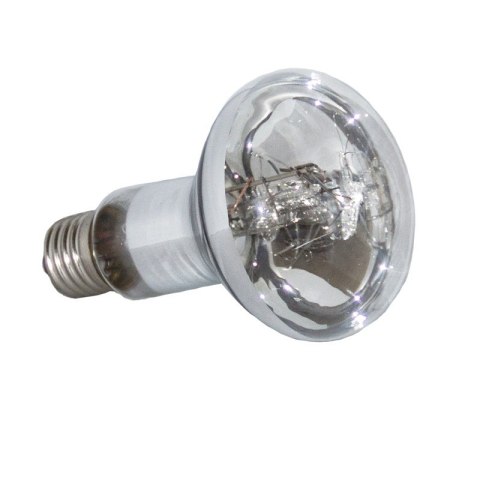 Żarówka Reptile UV 80W CLEAR LUCKY HERP