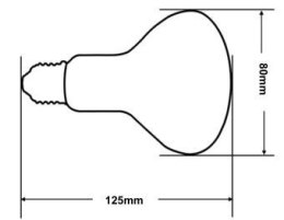 Żarówka Reptile UV 80W COATED LUCKY HERP