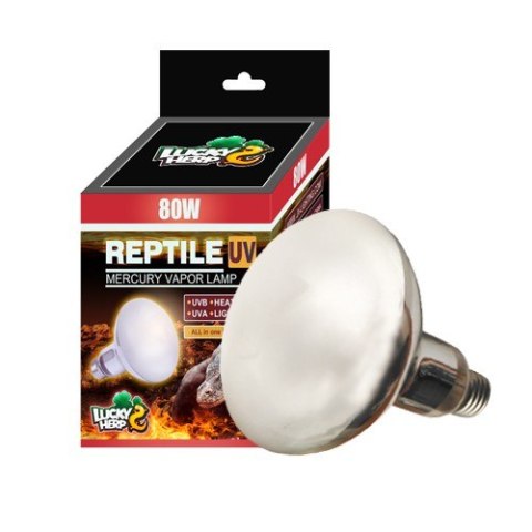 Żarówka Reptile UV 80W FROSTED LUCKY HERP