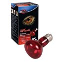 Żarówka czerwona INFRARED HEAT SPOT LAMP 35 - 100W TRIXIE