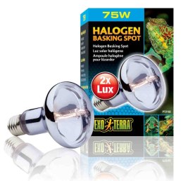 Żarówka halogenowa 75W BASKING SPOT EXO TERRA