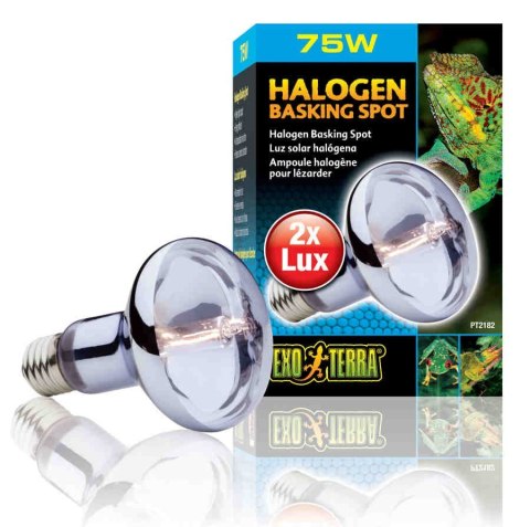 Żarówka halogenowa 75W BASKING SPOT EXO TERRA