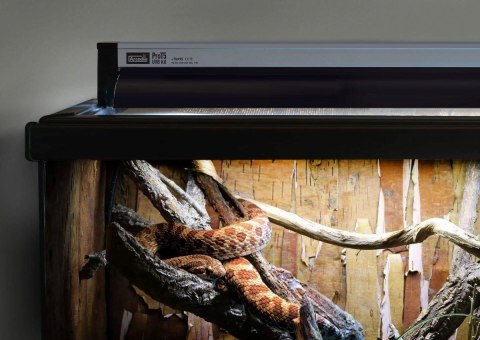 Zestaw ProT5 UVB Kit lampa + świetlówka 6% T5 39W 850mm ARCADIA