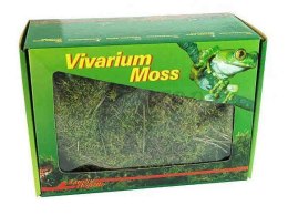 Żywy mech Vivarium Moss 150g LUCKY REPTILE